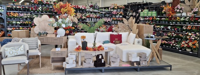 Fleurs et potées de Toussaint